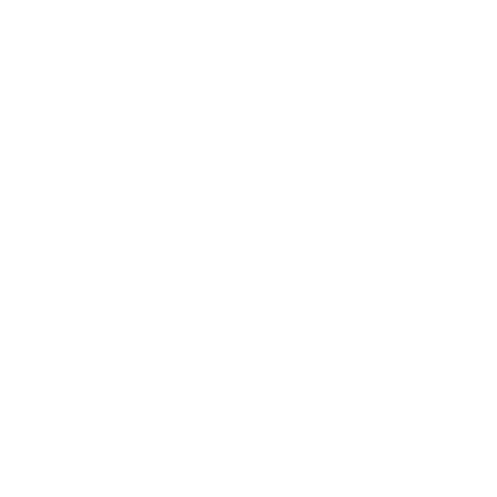 Award SME 100 Logo