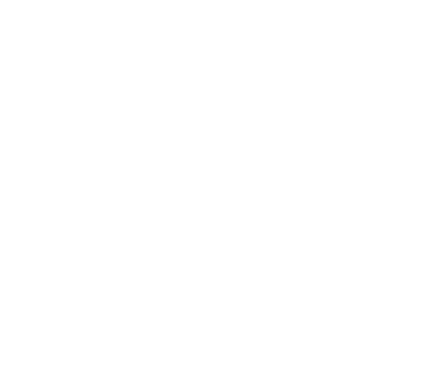 BNM Logo