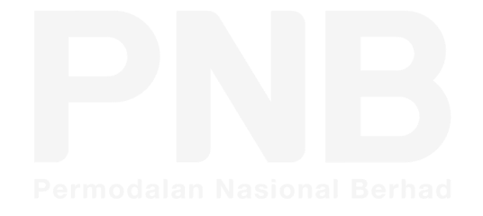 PNB Logo